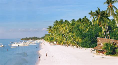 alona hotels|16 Best Beachfront Resorts in Bohol Island Philippines: Alona .